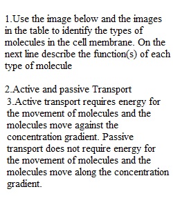 Module 4 Assignment